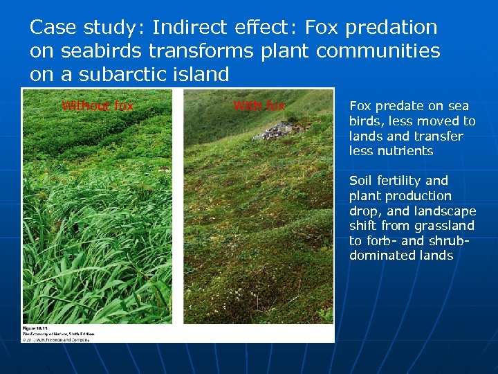 Case study: Indirect effect: Fox predation on seabirds transforms plant communities on a subarctic