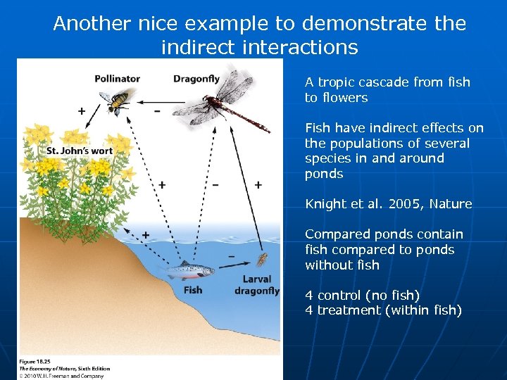 Another nice example to demonstrate the indirect interactions A tropic cascade from fish to