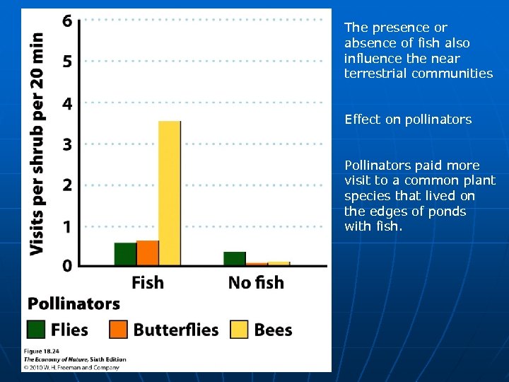 The presence or absence of fish also influence the near terrestrial communities Effect on