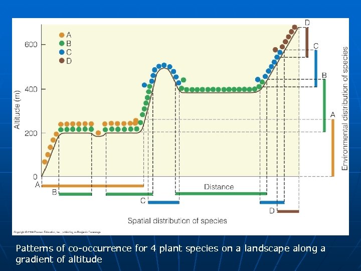 Patterns of co-occurrence for 4 plant species on a landscape along a gradient of