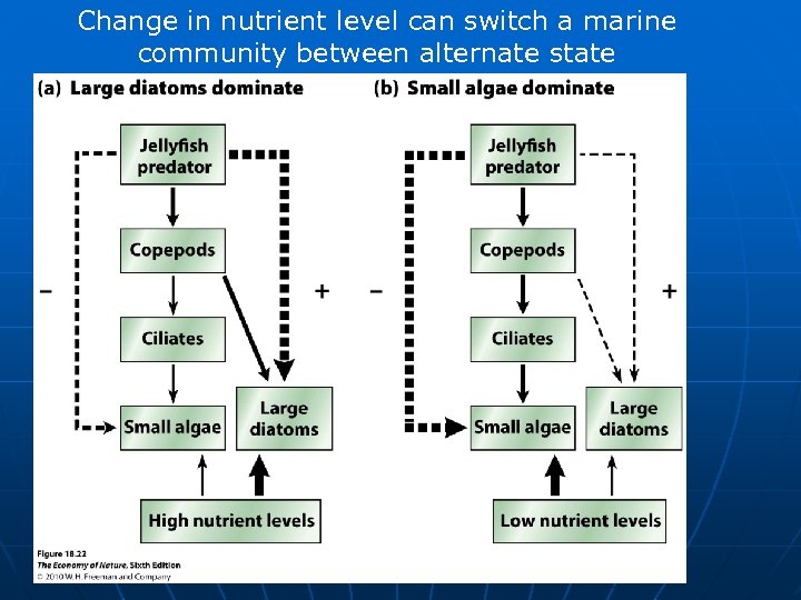 Change in nutrient level can switch a marine community between alternate state 