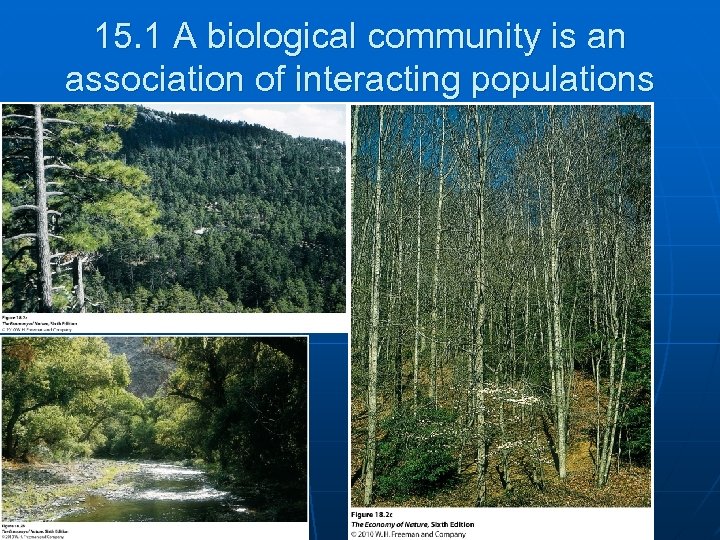 15. 1 A biological community is an association of interacting populations 