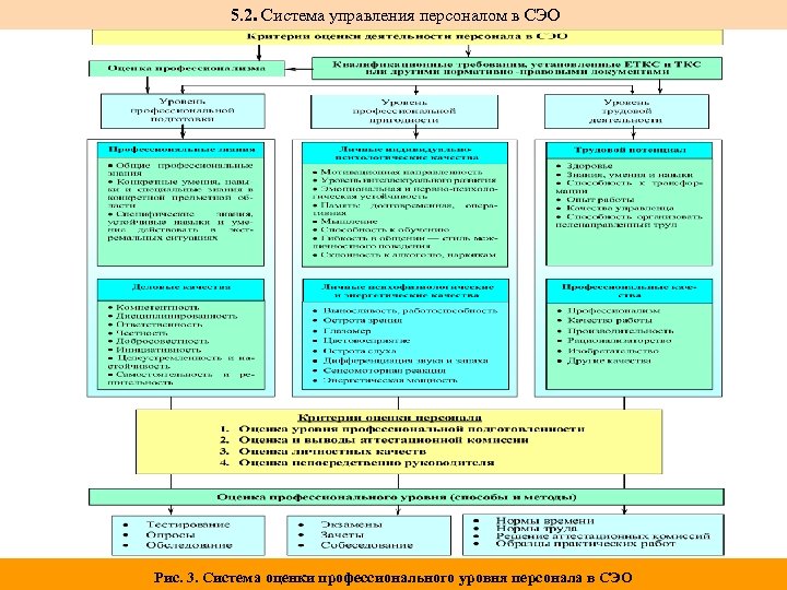  5. 2. Система управления персоналом в СЭО Рис. 3. Система оценки профессионального уровня