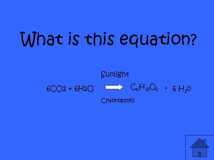 What is this equation? Sunlight 6 CO 2 + 6 H 2 O C