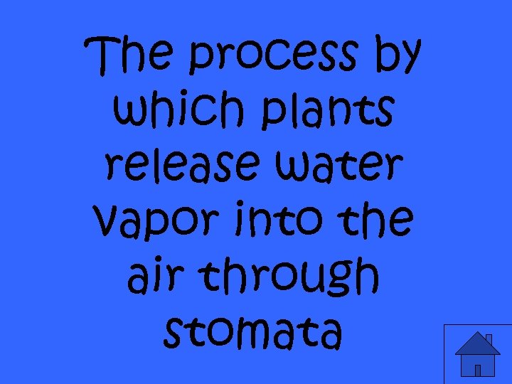 The process by which plants release water vapor into the air through stomata 