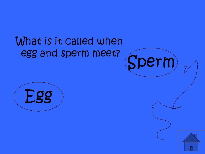 What is it called when egg and sperm meet? Egg Sperm 