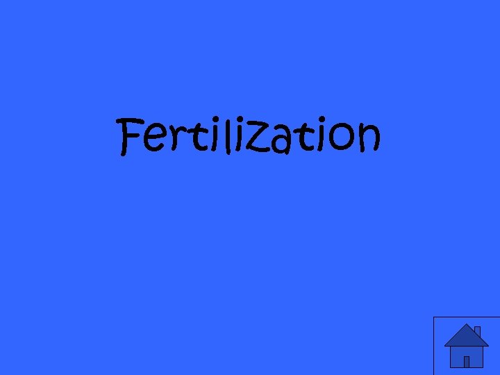 Fertilization 