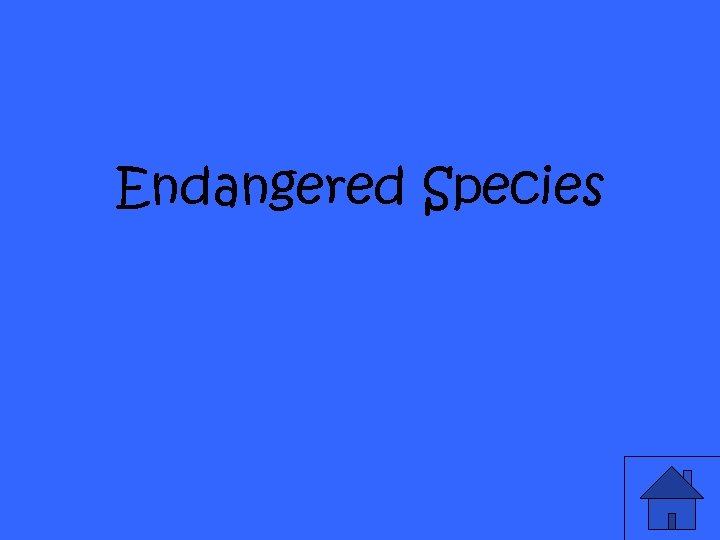 Endangered Species 