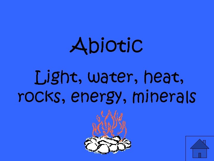 Abiotic Light, water, heat, rocks, energy, minerals 