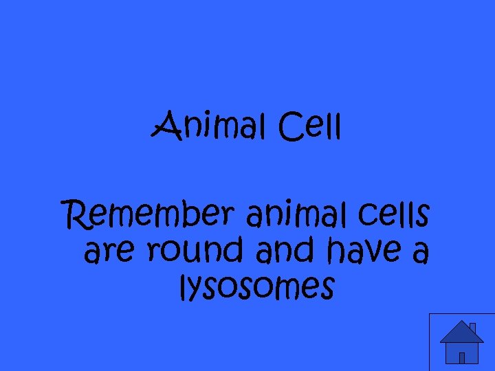 Animal Cell Remember animal cells are round and have a lysosomes 