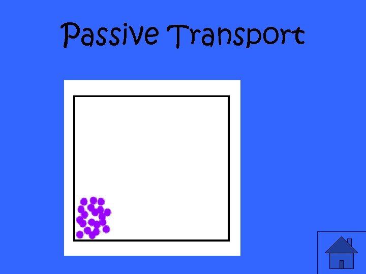 Passive Transport 