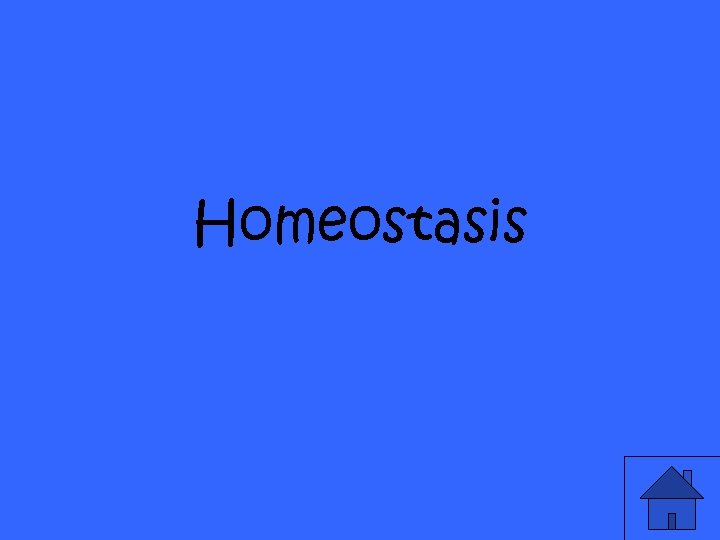 Homeostasis 