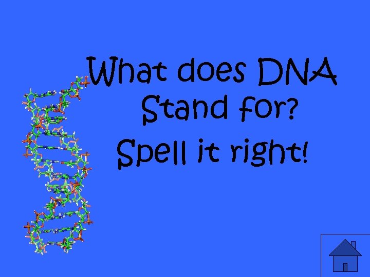 What does DNA Stand for? Spell it right! 