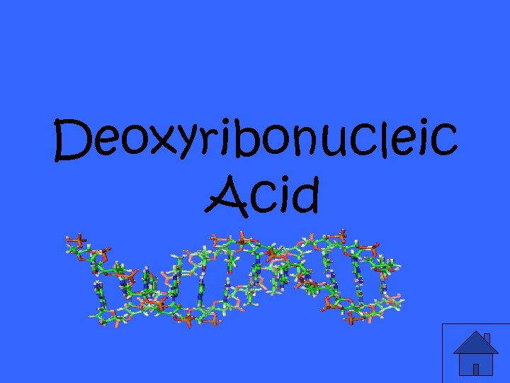 Deoxyribonucleic Acid 