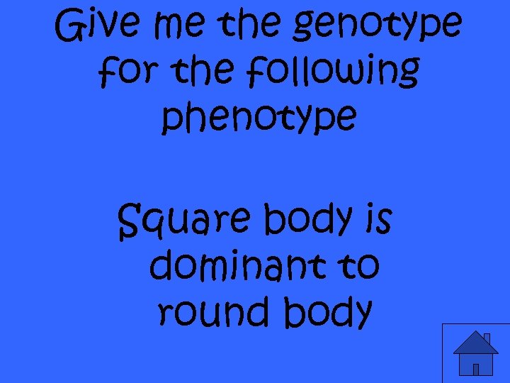 Give me the genotype for the following phenotype Square body is dominant to round