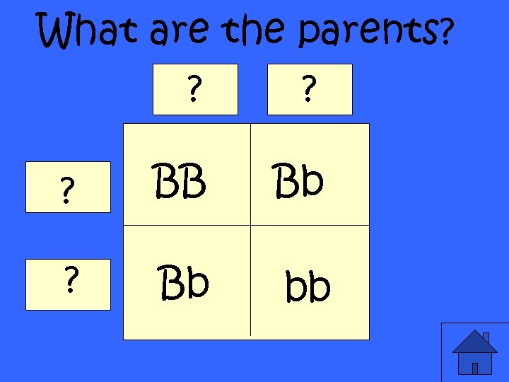 What are the parents? ? BB Bb ? Bb bb 