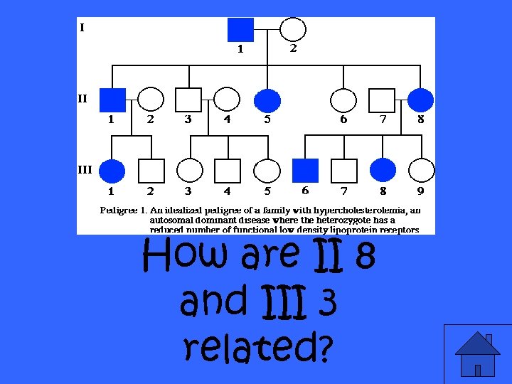 How are II 8 and III 3 related? 