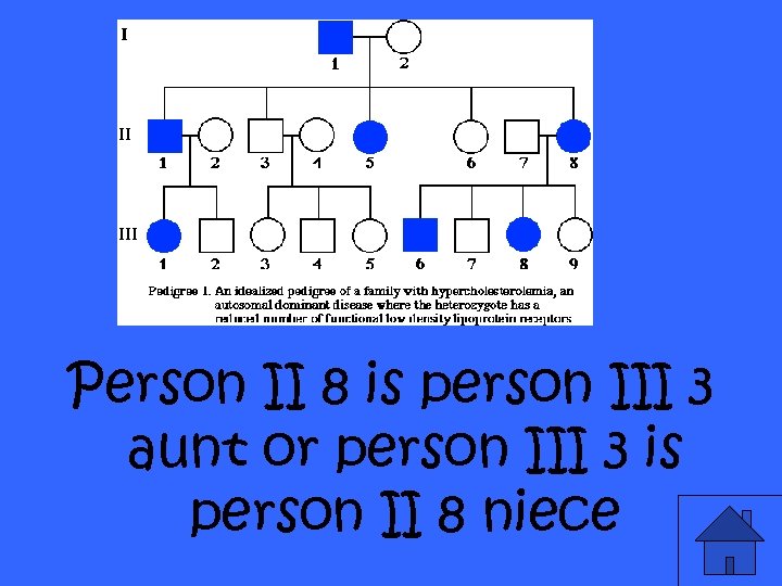 Person II 8 is person III 3 aunt or person III 3 is person