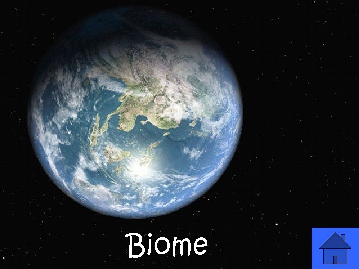 Biome 