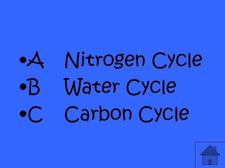  • A • B • C Nitrogen Cycle Water Cycle Carbon Cycle 