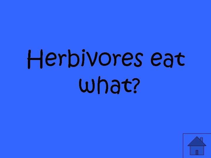 Herbivores eat what? 