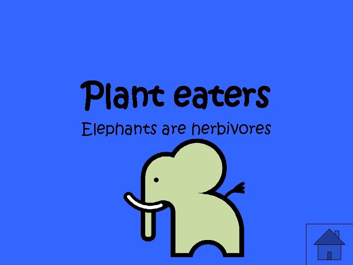 Plant eaters Elephants are herbivores 