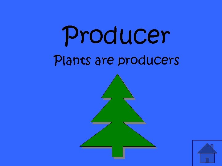 Producer Plants are producers 