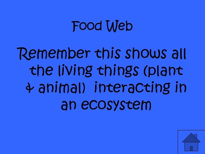 Food Web Remember this shows all the living things (plant & animal) interacting in