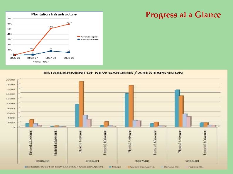 Progress at a Glance 
