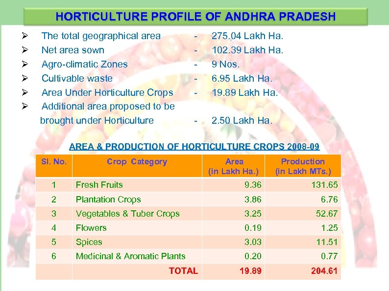 HORTICULTURE PROFILE OF ANDHRA PRADESH Ø The total geographical area Ø Net area sown