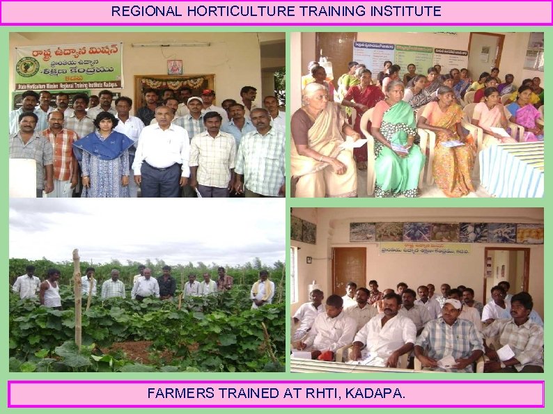 REGIONAL HORTICULTURE TRAINING INSTITUTE FARMERS TRAINED AT RHTI, KADAPA. 