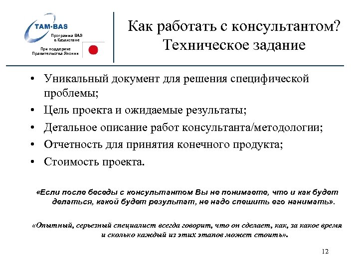 Программа BAS в Казахстане При поддержке Правительства Японии Как работать с консультантом? Техническое задание