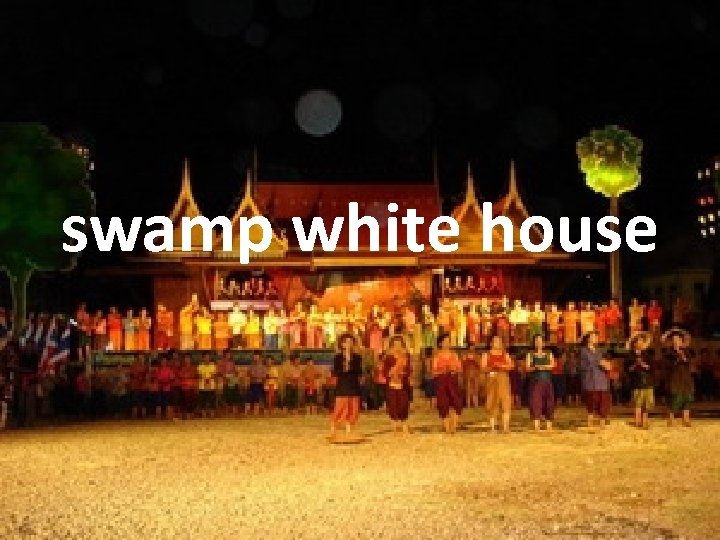 swamp white house 