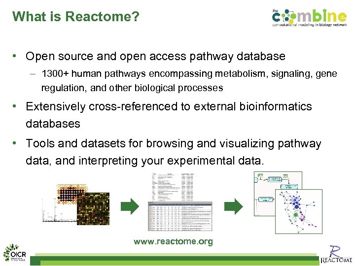 What is Reactome? • Open source and open access pathway database – 1300+ human