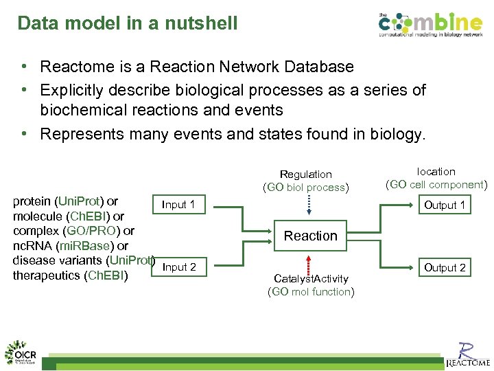 Data model in a nutshell • Reactome is a Reaction Network Database • Explicitly