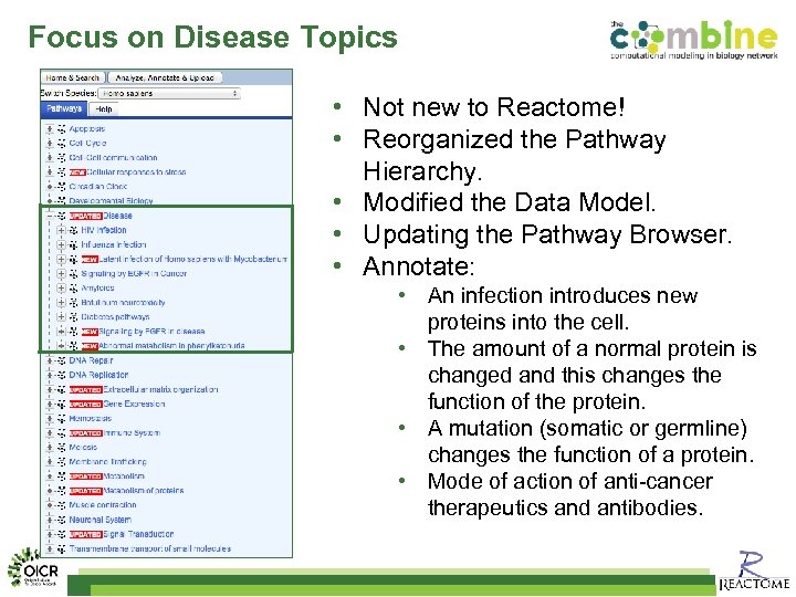 Focus on Disease Topics • Not new to Reactome! • Reorganized the Pathway Hierarchy.