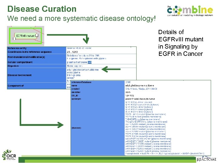 Disease Curation We need a more systematic disease ontology! Details of EGFRv. III mutant