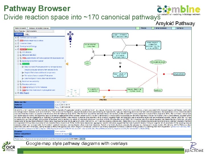 Pathway Browser Divide reaction space into ~170 canonical pathways Amyloid Pathway Google-map style pathway