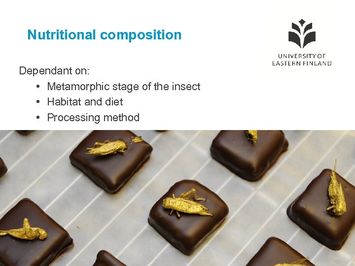 Nutritional composition Dependant on: • Metamorphic stage of the insect • Habitat and diet