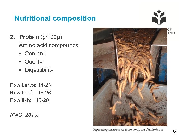 Nutritional composition 2. Protein (g/100 g) Amino acid compounds • Content • Quality •