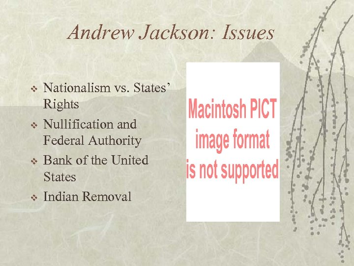 Andrew Jackson: Issues v v Nationalism vs. States’ Rights Nullification and Federal Authority Bank