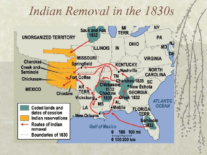 Indian Removal in the 1830 s 