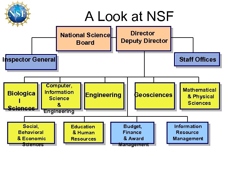 A Look at NSF National Science Board Director Deputy Director Inspector General Biologica l