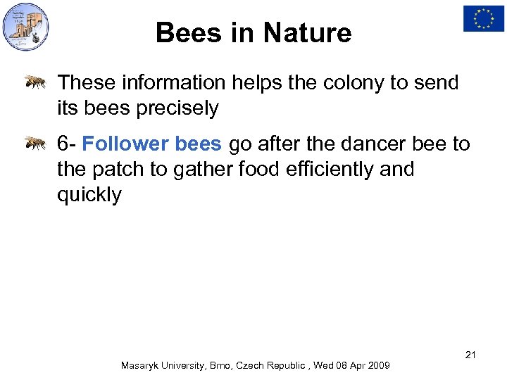 Bees in Nature These information helps the colony to send its bees precisely 6