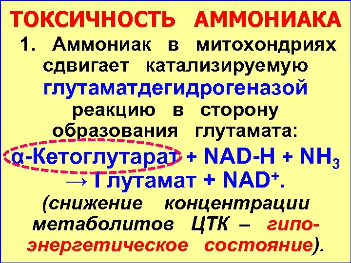 ТОКСИЧНОСТЬ АММОНИАКА 1. Аммониак в митохондриях сдвигает катализируемую глутаматдегидрогеназой реакцию в сторону образования глутамата: