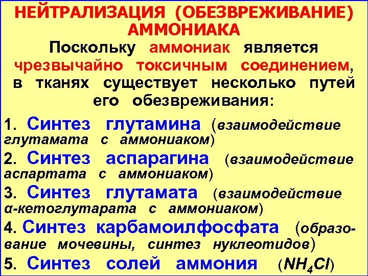 НЕЙТРАЛИЗАЦИЯ (ОБЕЗВРЕЖИВАНИЕ) АММОНИАКА Поскольку аммониак является чрезвычайно токсичным соединением, в тканях существует несколько путей