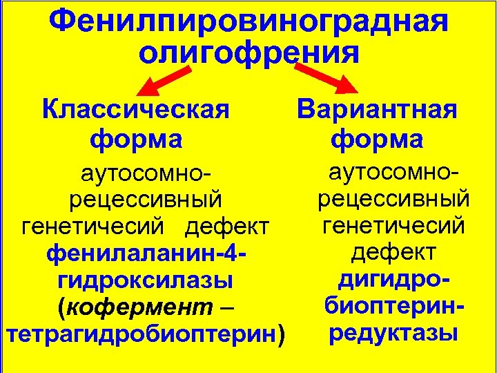 Фенилпировиноградная олигофрения Классическая форма аутосомнорецессивный генетичесий дефект фенилаланин-4 гидроксилазы (кофермент – тетрагидробиоптерин) Вариантная форма