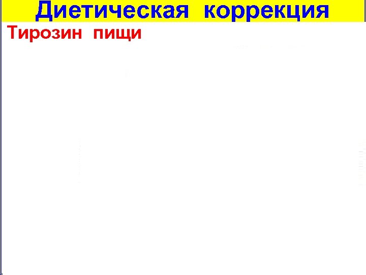 Диетическая коррекция Тирозин пищи 