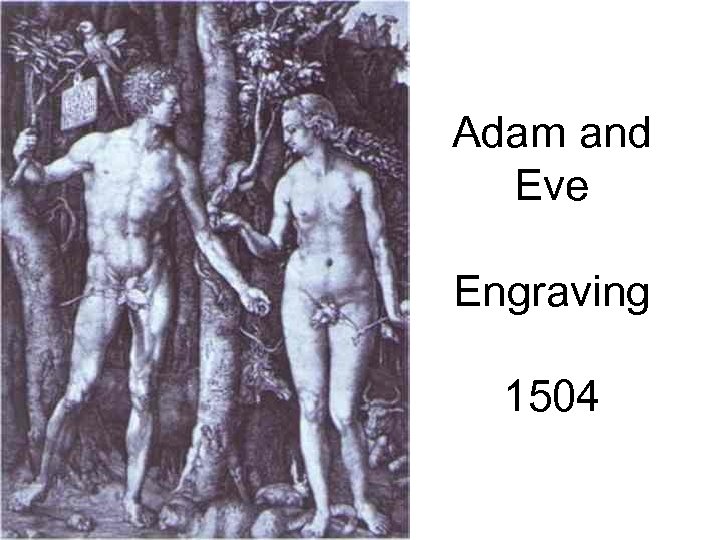 Adam and Eve Engraving 1504 