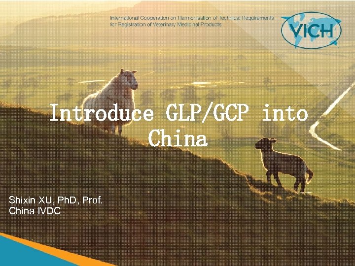 Introduce GLP/GCP into China Shixin XU, Ph. D, Prof. China IVDC 